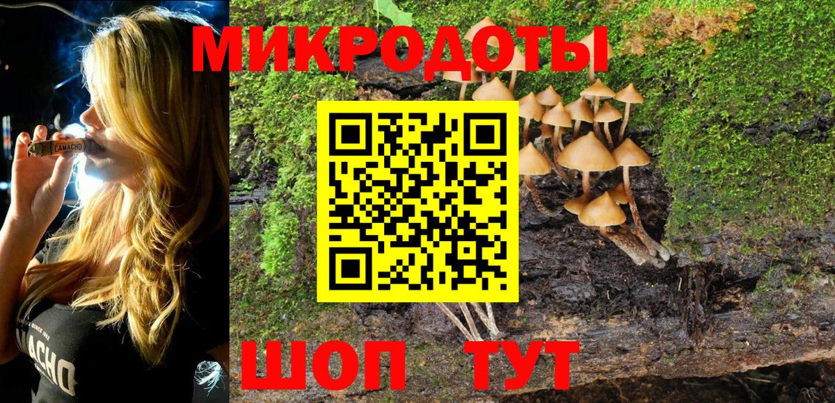 Новодвинск  купить закладку  Вход с VPN  Галлюциногенные грибы Cubensis  Галлюциногенные грибы Psilocybe 