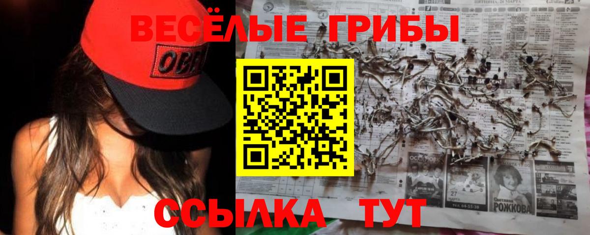 Псилоцибиновые грибы прущие грибы Новодвинск